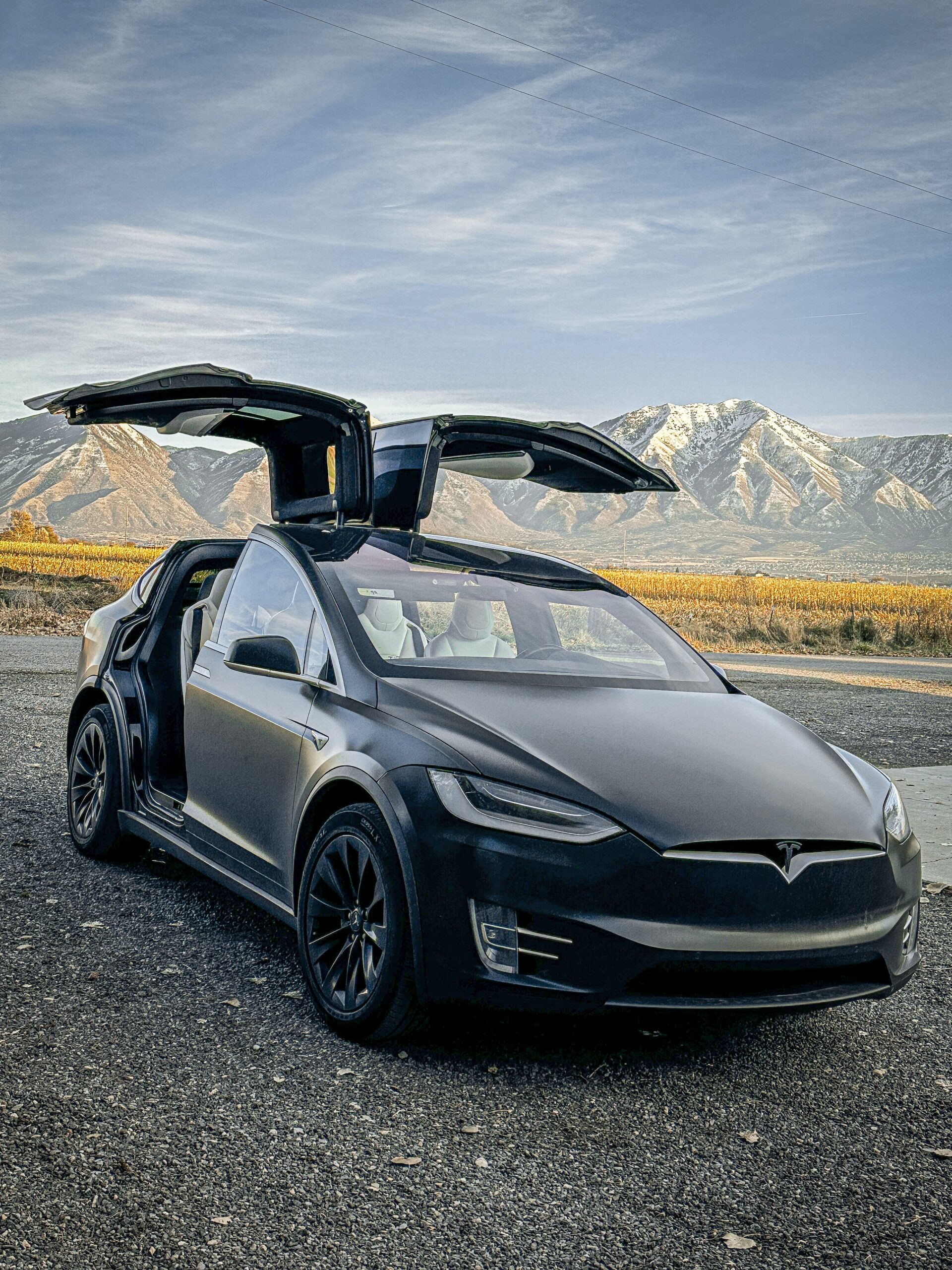 tesla model x electric car hire